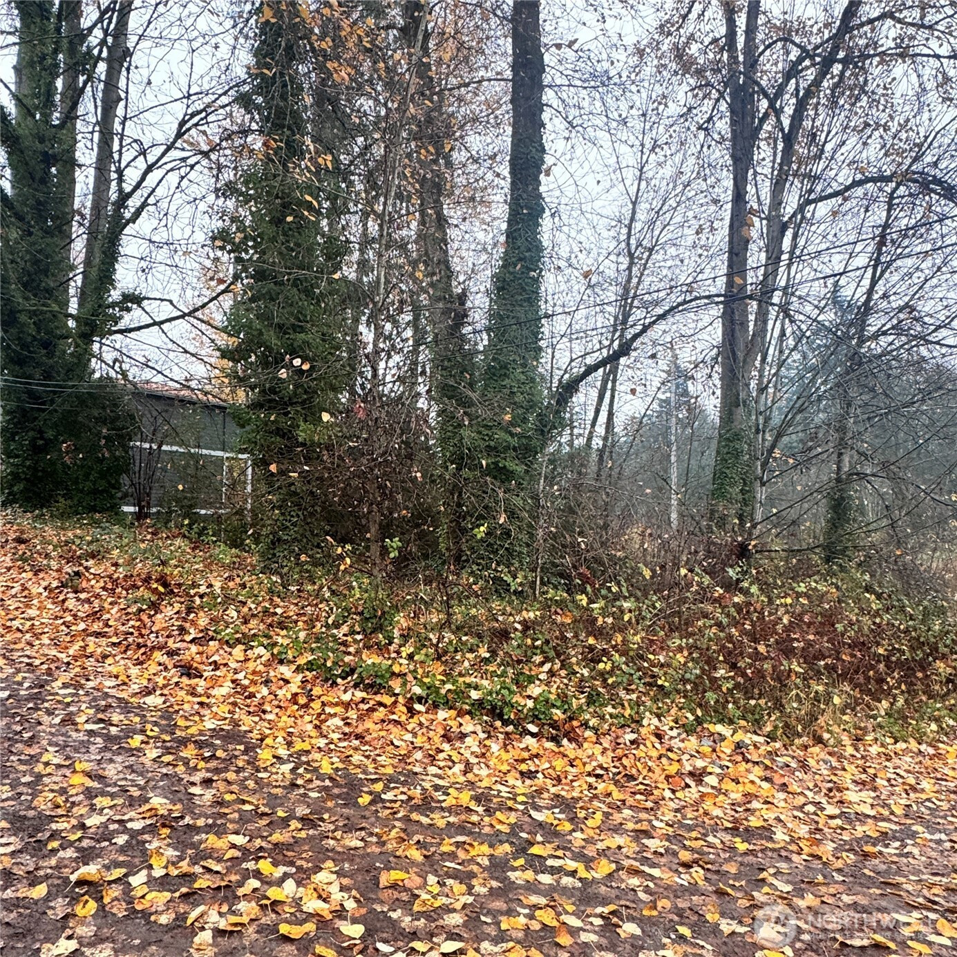 5901 S Fountain Street, Seattle, WA 98178