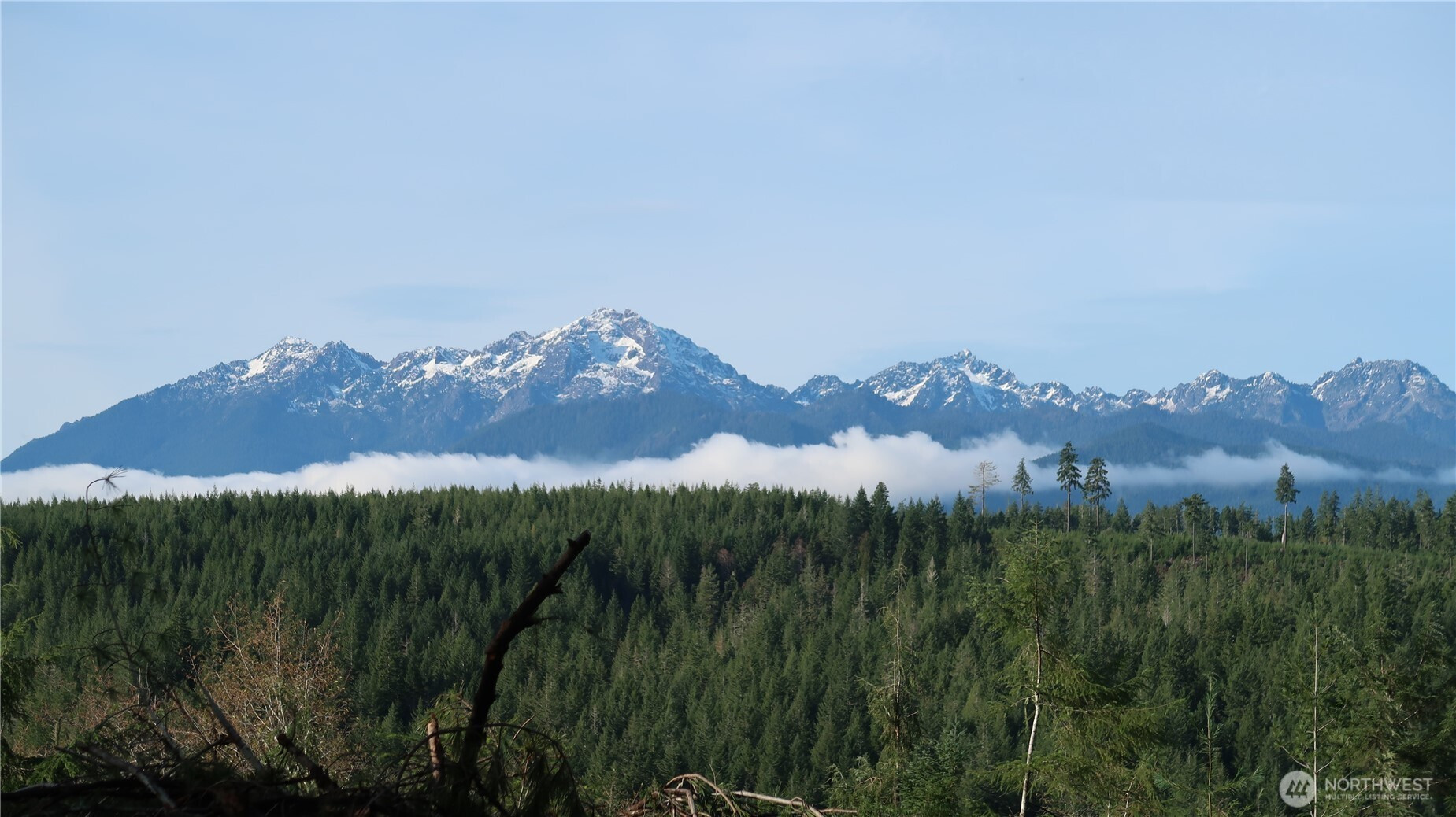 2180 NE Holly Dewatto Rd, Tahuya, WA 98588