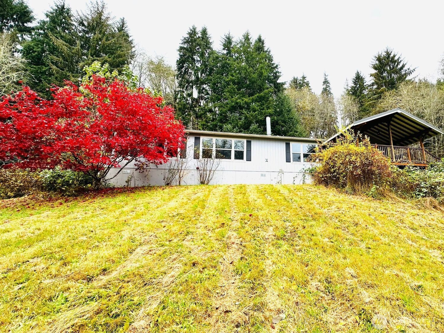 79 Hull Creek Rd, Grays River, WA 98621