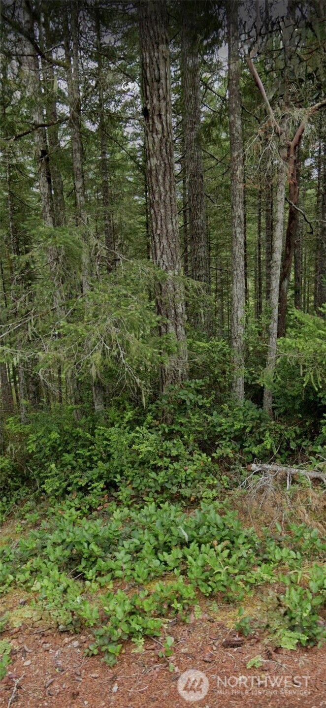 1221 NE Collins Lake Drive, Tahuya, WA 98588