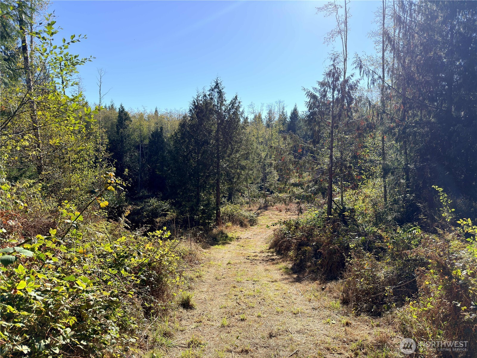 1 XXX Lee Valley Road, Quilcene, WA 98376