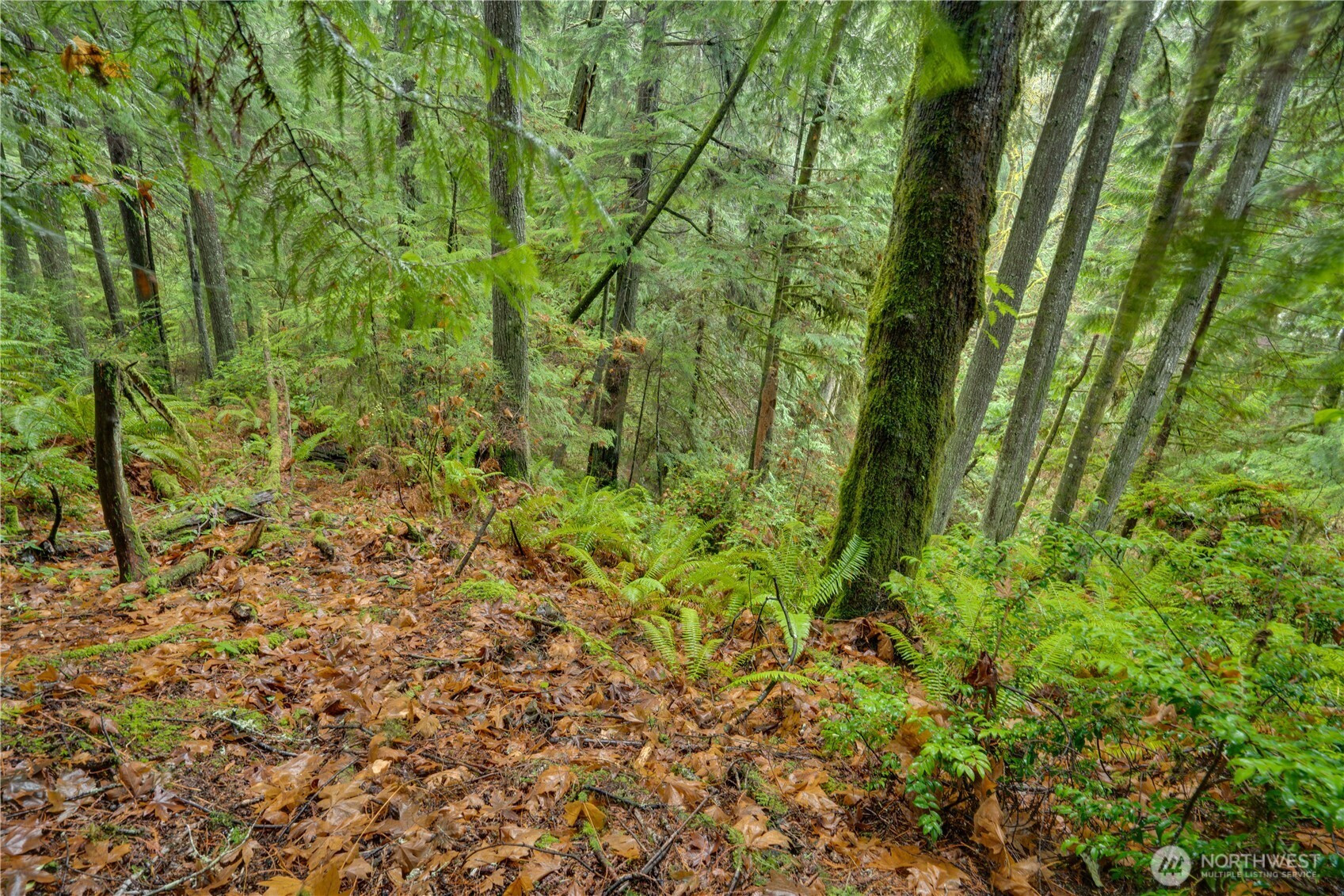 2909 144th Street NW, Gig Harbor, WA 98332