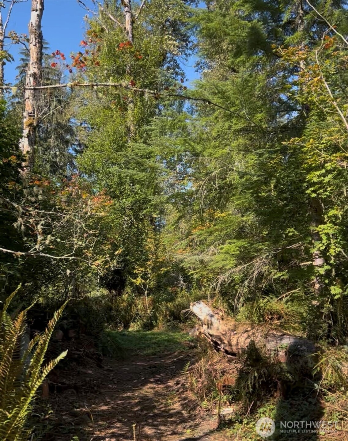 0 Cascade Lane, Eatonville, WA 98328