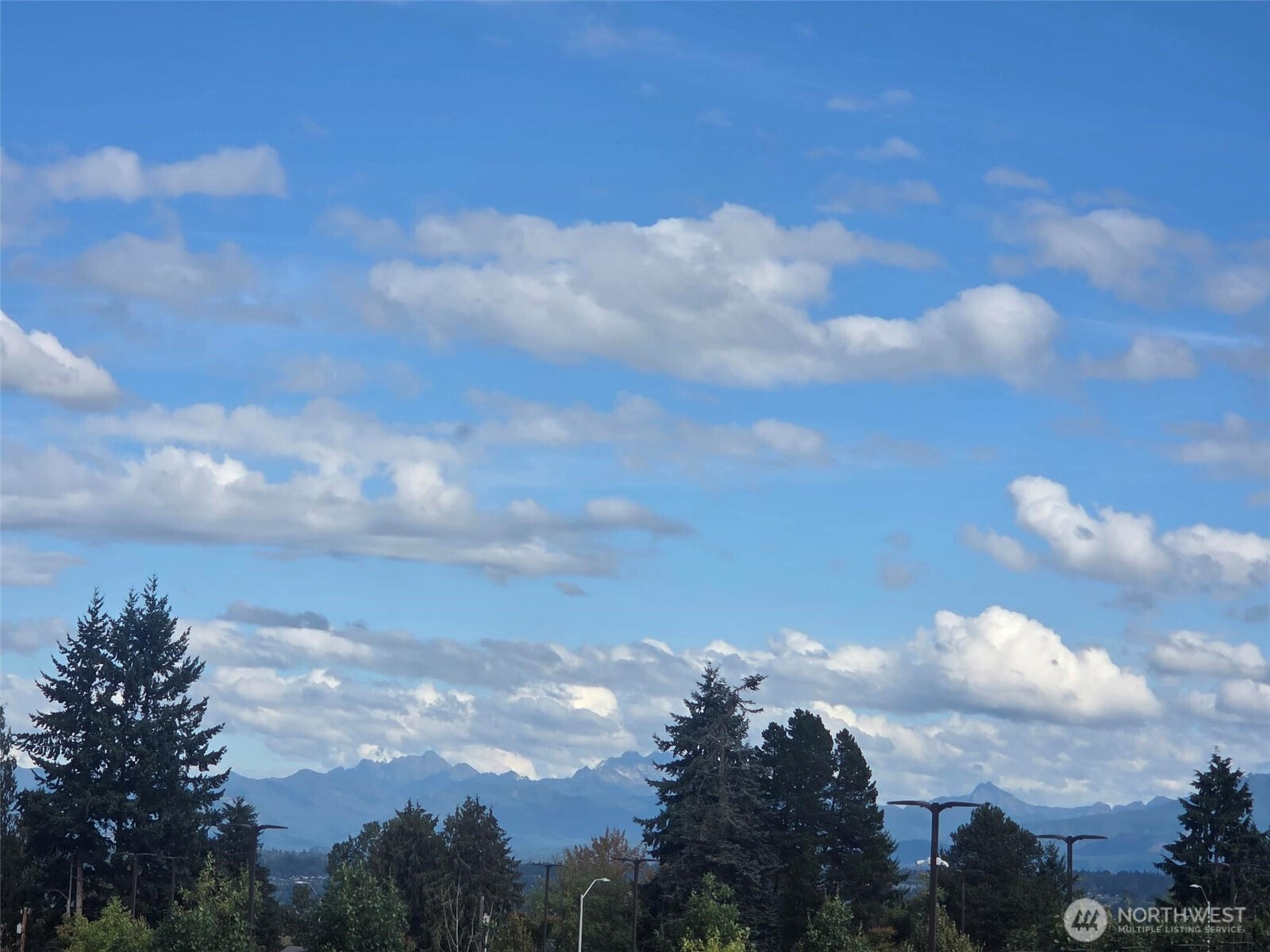 4738 Rucker Avenue, Everett, WA 98203