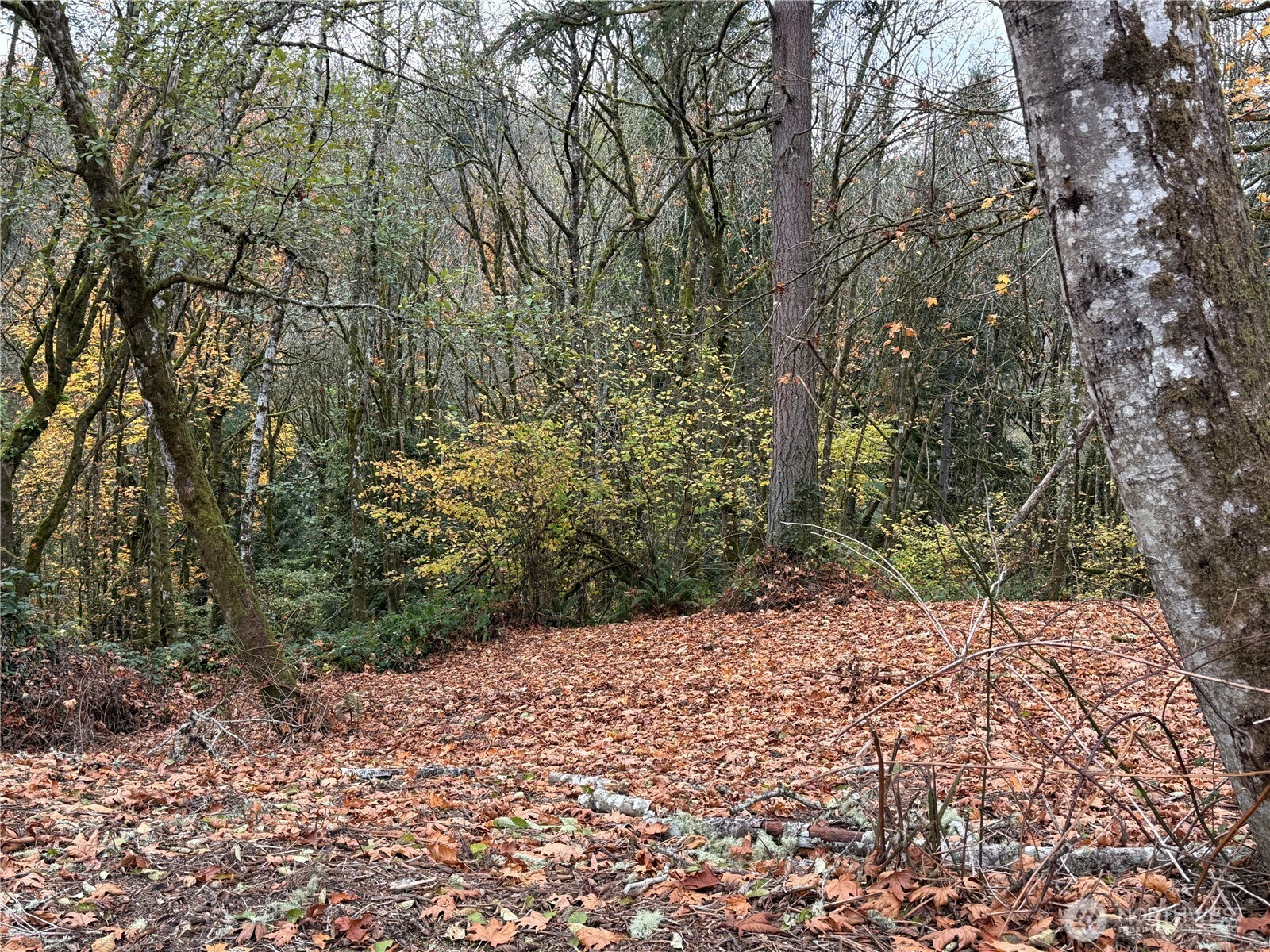 0 Maplewood Drive, Longview, WA 98632