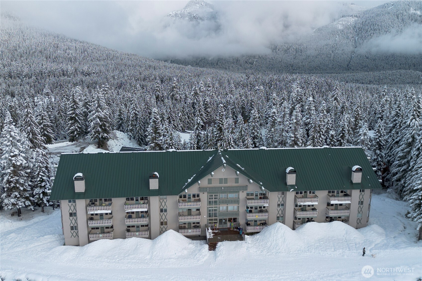 220 Tanner Way, Snoqualmie Pass, WA 98068