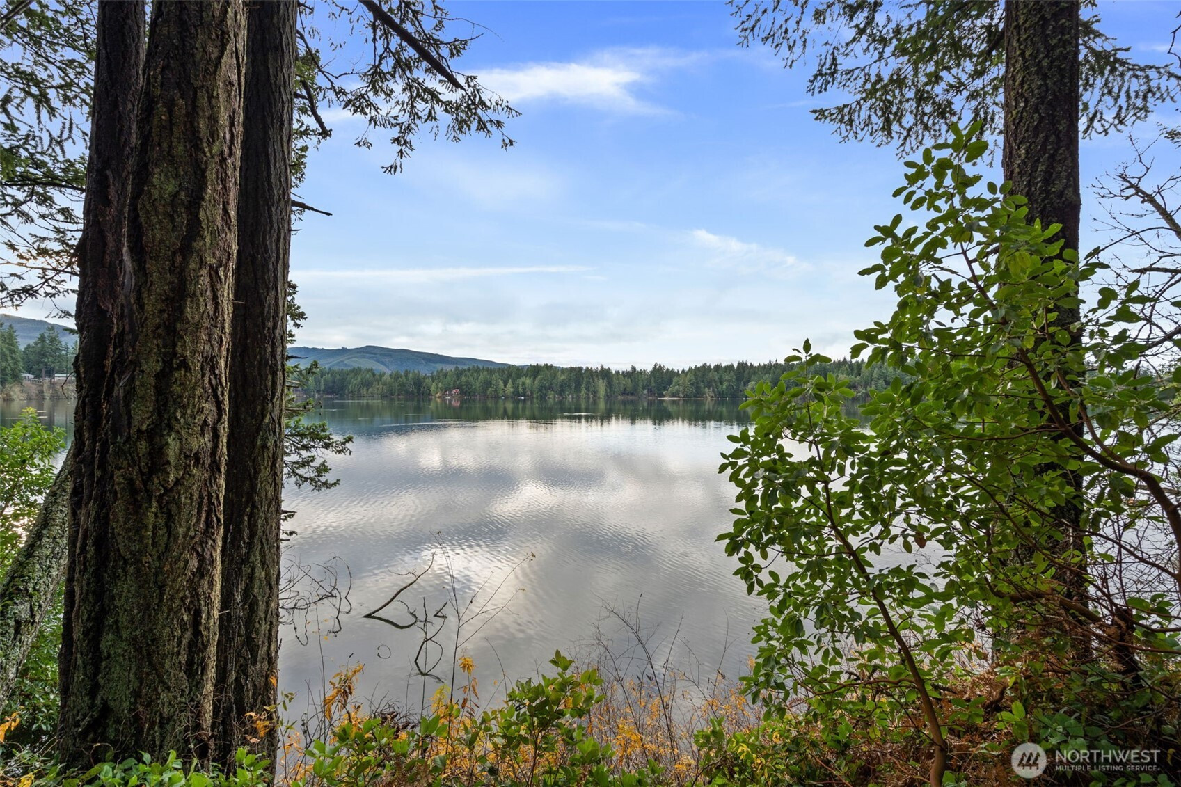 18129 Sundown Court SE, Yelm, WA 98597