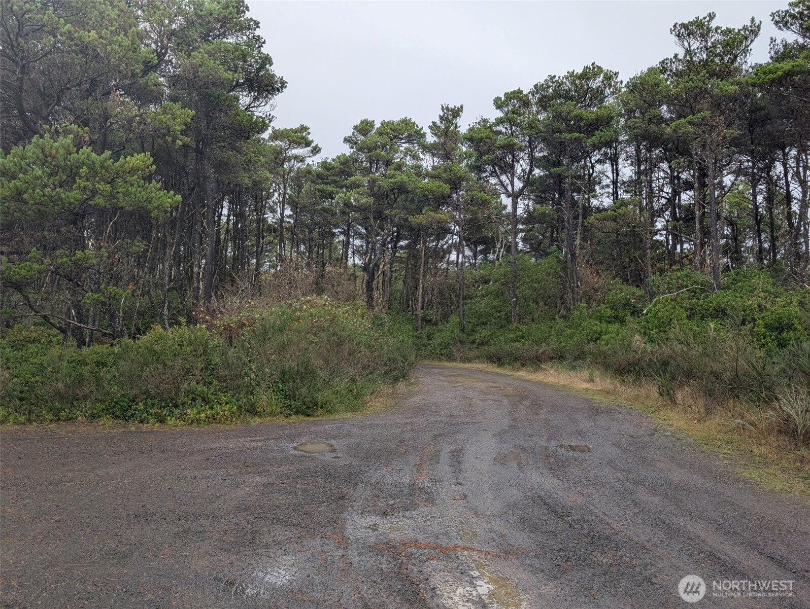 5 Gold Street, Westport, WA 98595