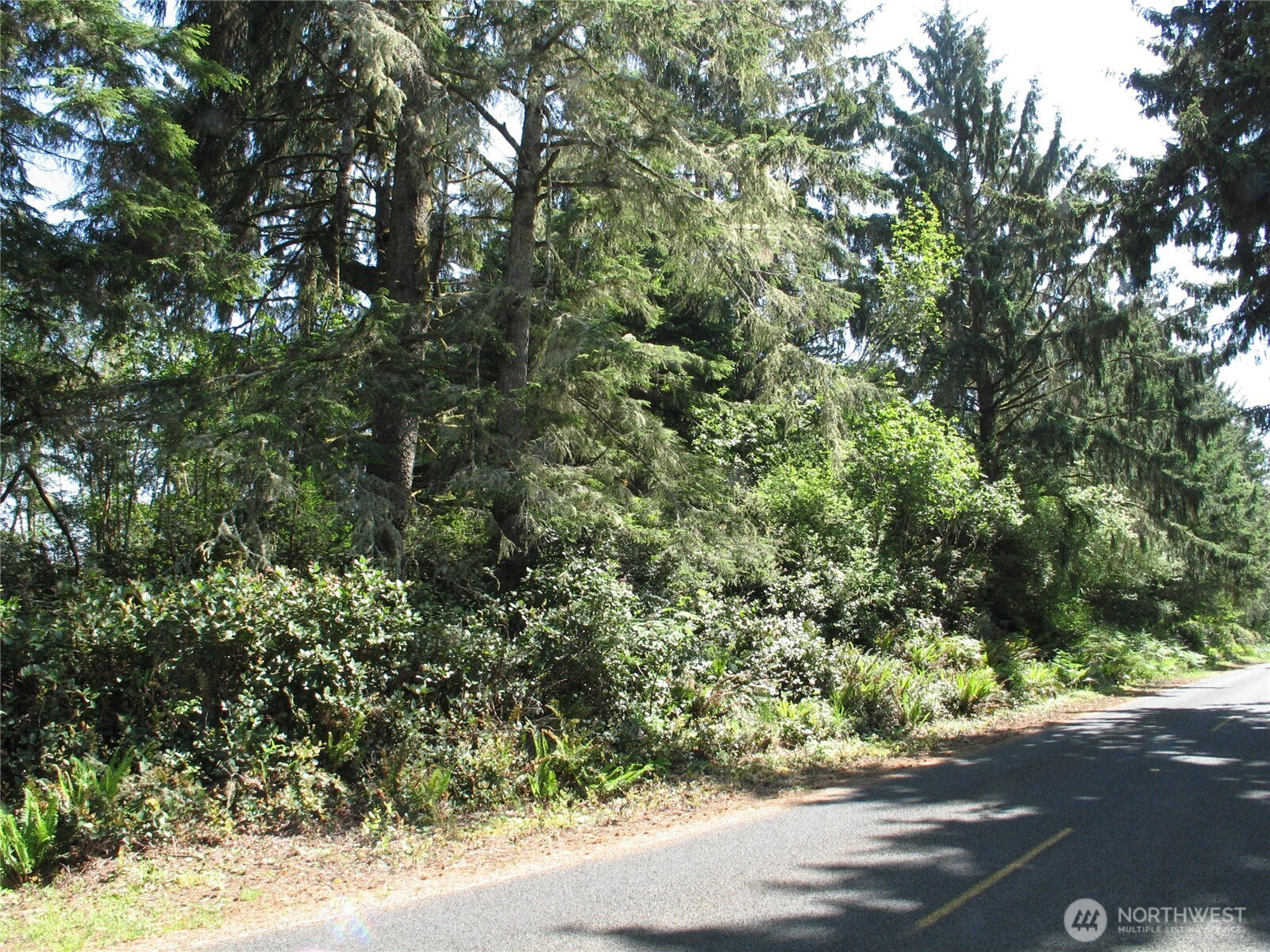 38385 Stackpole Road, Oysterville, WA 98641