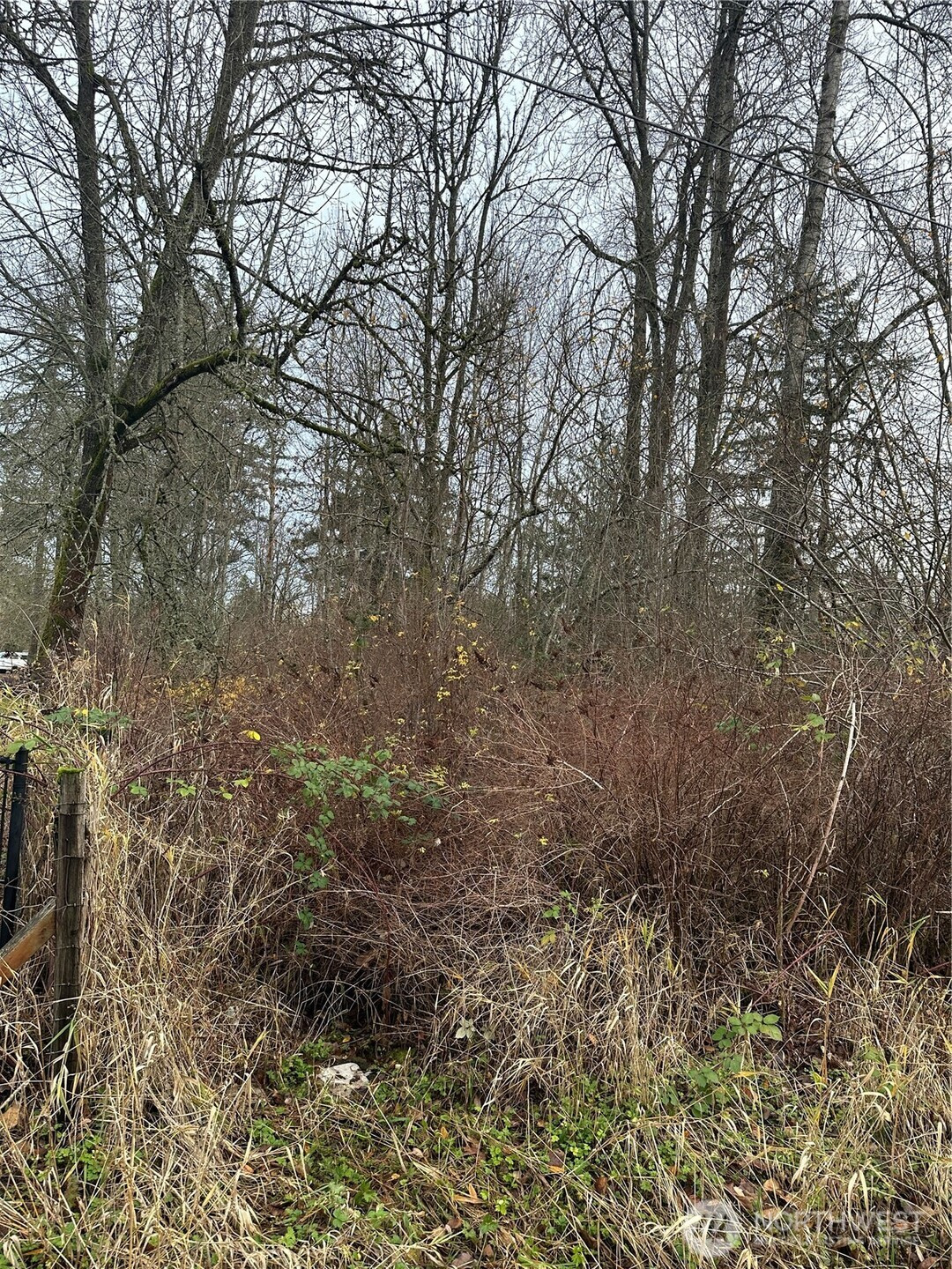 12309 40th Avenue E, Tacoma, WA 98446