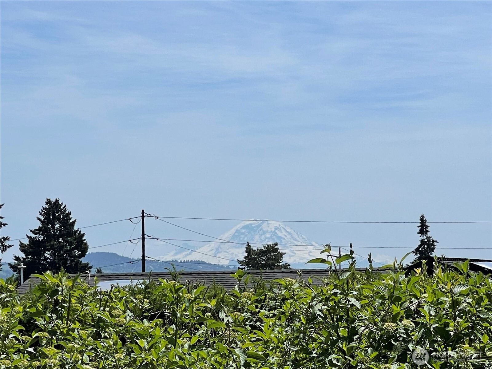 9815 Vineyard Crest, Bellevue, WA 98004