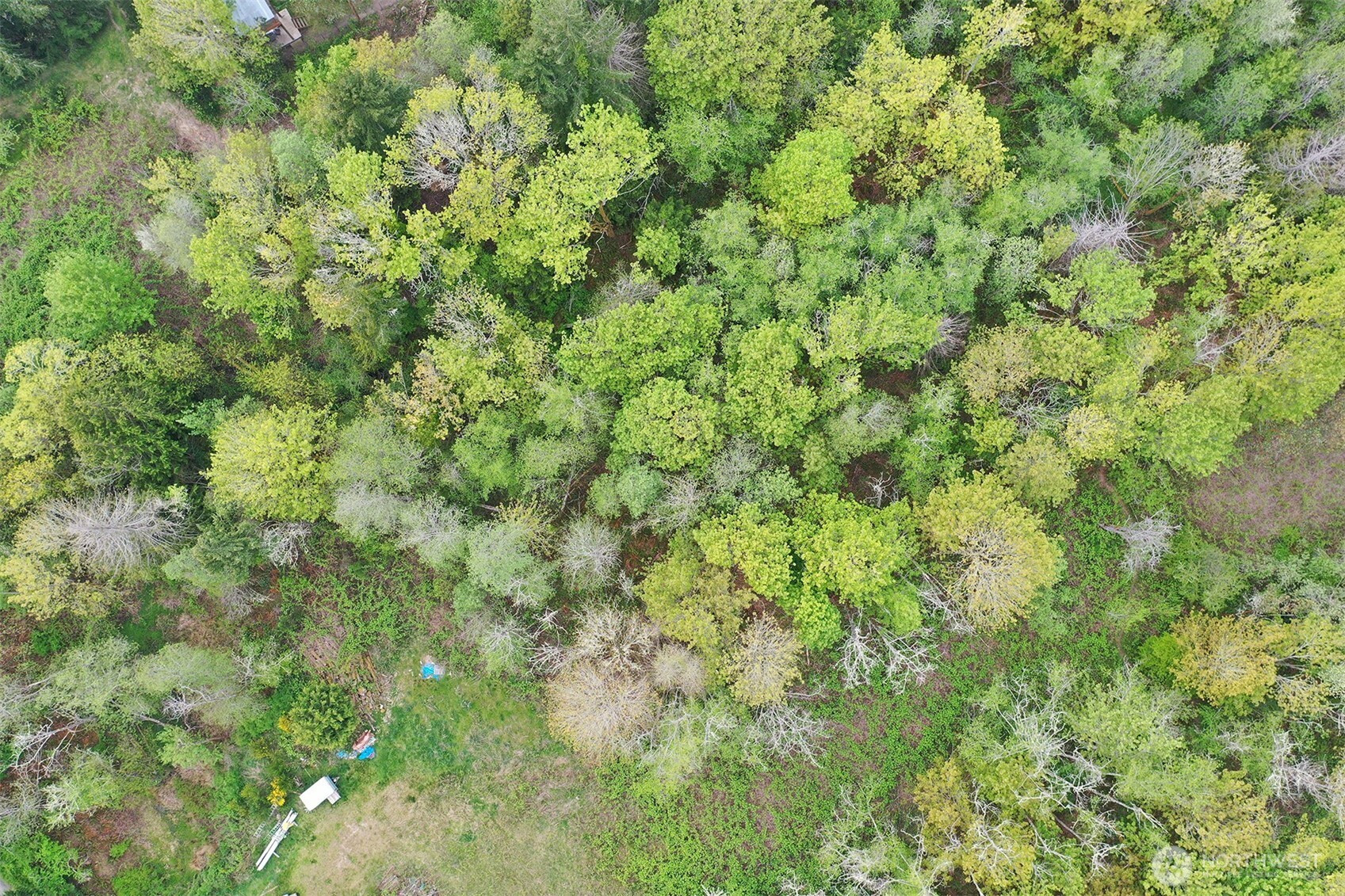 0 Mardell (lot 10) Court, Bainbridge Island, WA 98110