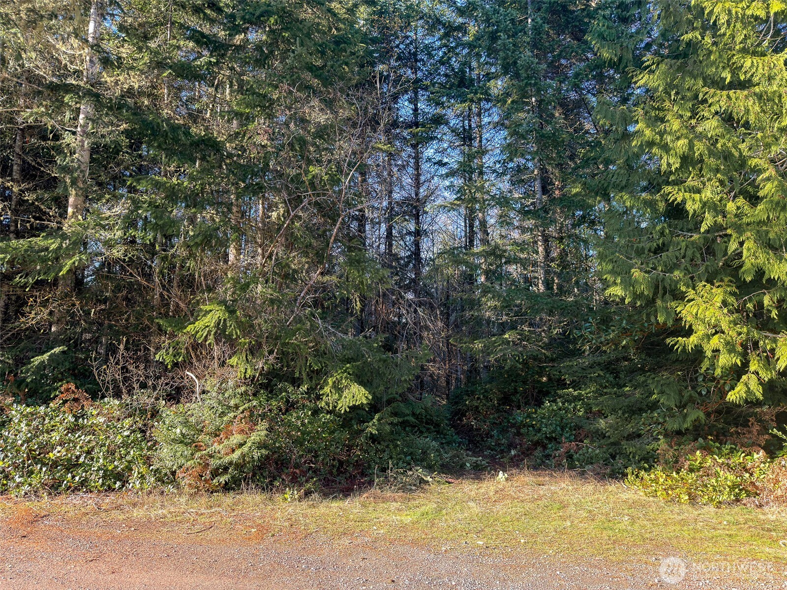 999 Old Coyle Road, Quilcene, WA 98376