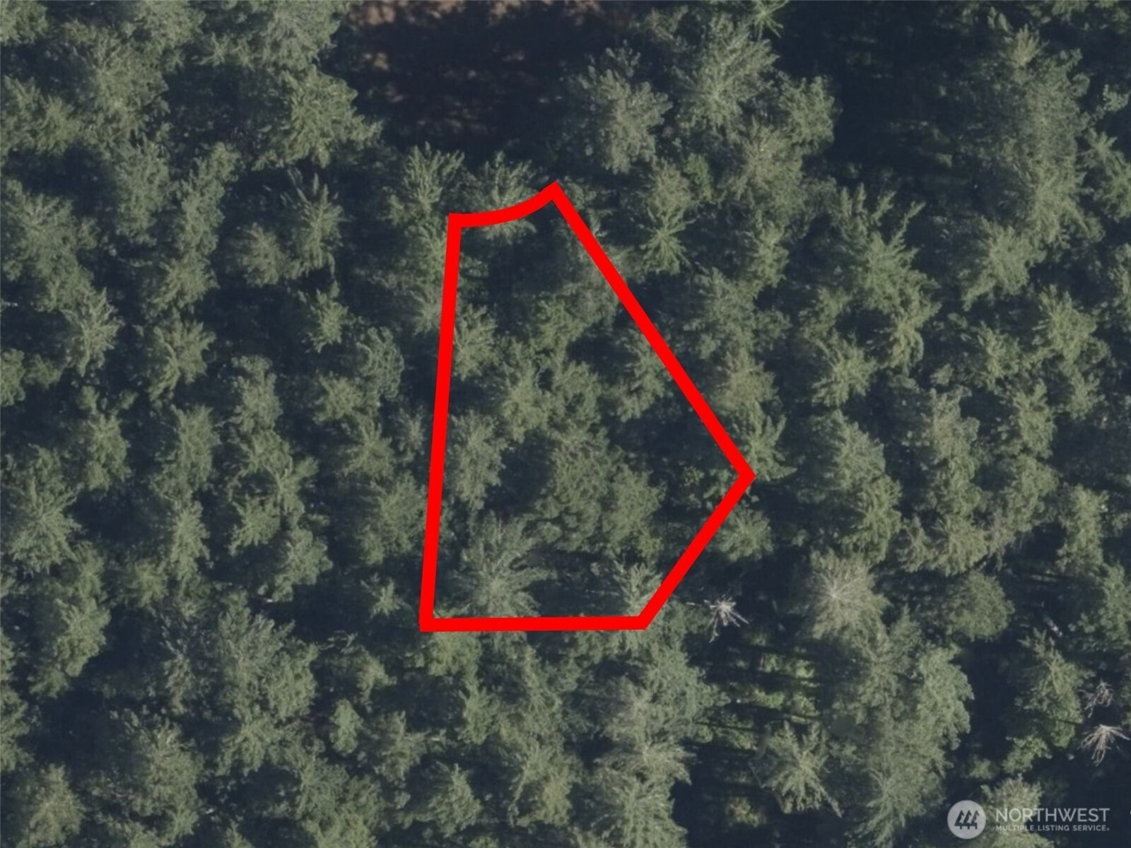 12914 E 101st Street Ct, Anderson Island, WA 98303