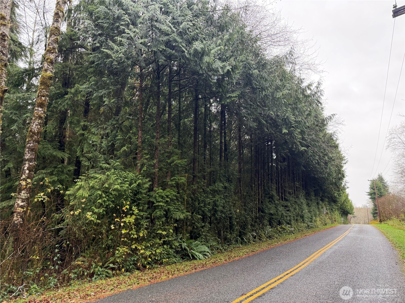 1982 Clearwater Road, Queets, WA 98331