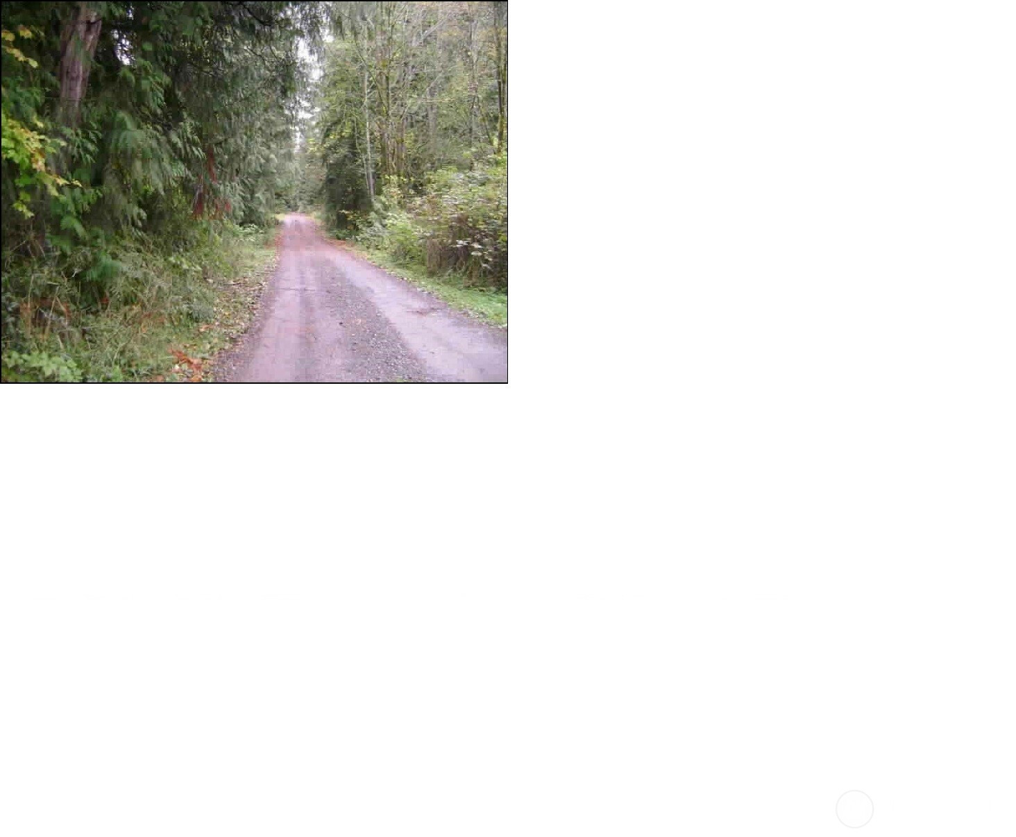 23317 119 Avenue SE, Woodinville, WA 98077