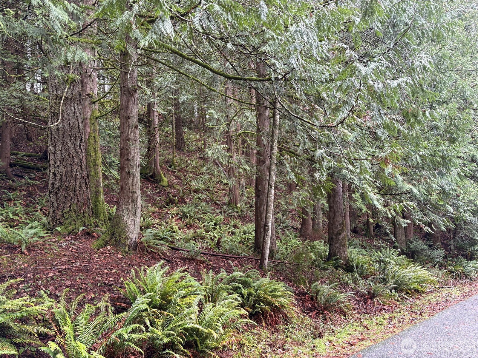 52 High Cliff Lane, Bellingham, WA 98229