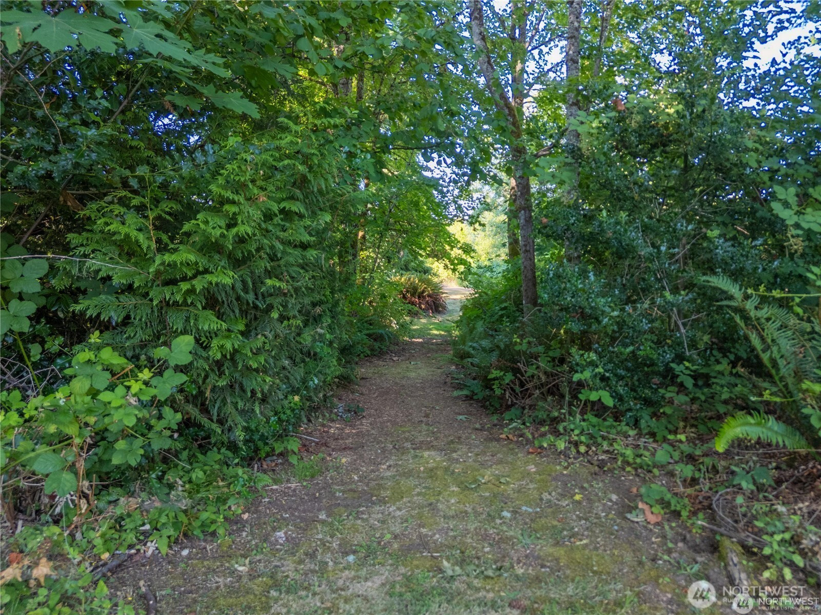 16621 188th Avenue SE, Renton, WA 98058