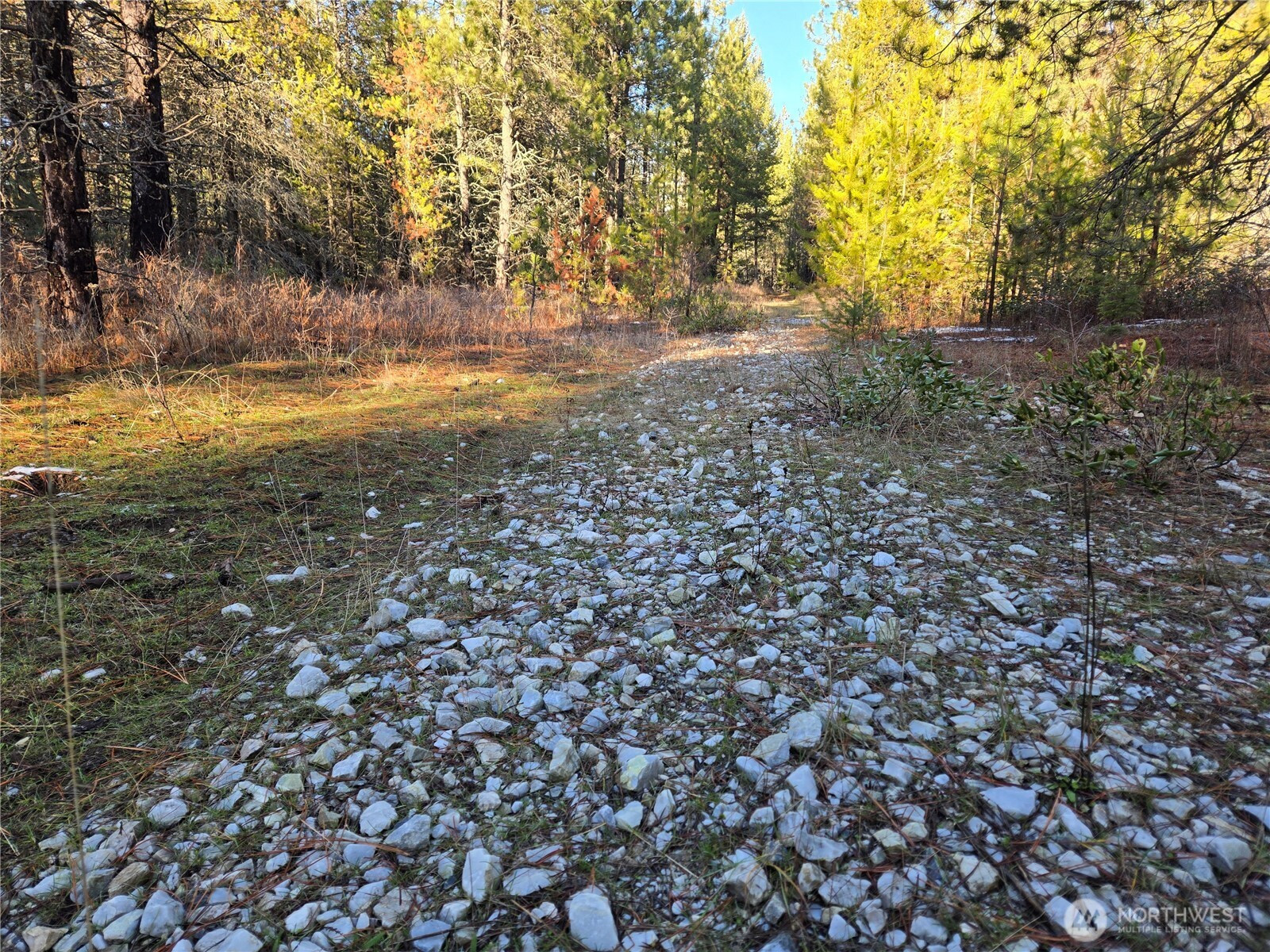 0 W Jump Off Joe Road, Valley, WA 99181