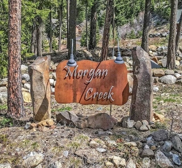 1491 Morgan Creek Road, Ronald, WA 98940