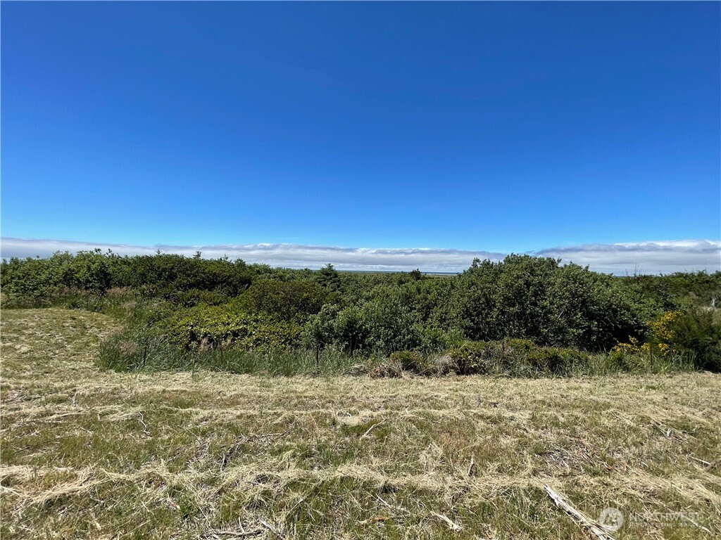 72 Dunes Lane, Ocean City, WA 98569