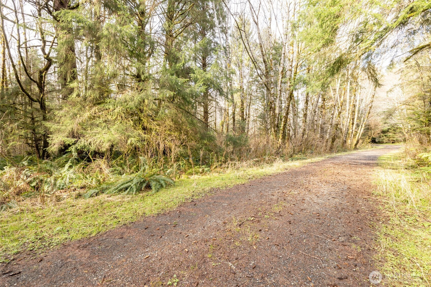 999 Swamp Rd, Sekiu, WA 98381