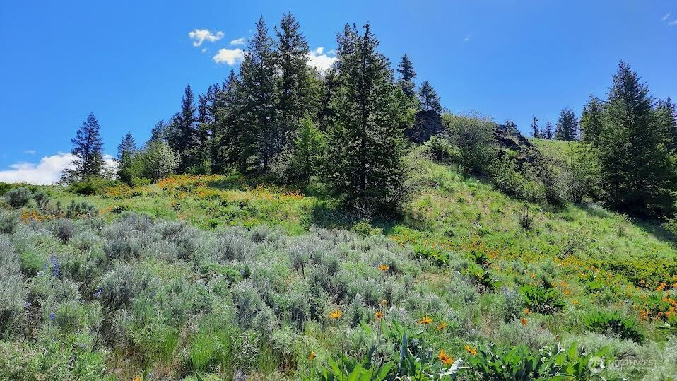 0 TBD Windmill Mountain, Oroville, WA 98844