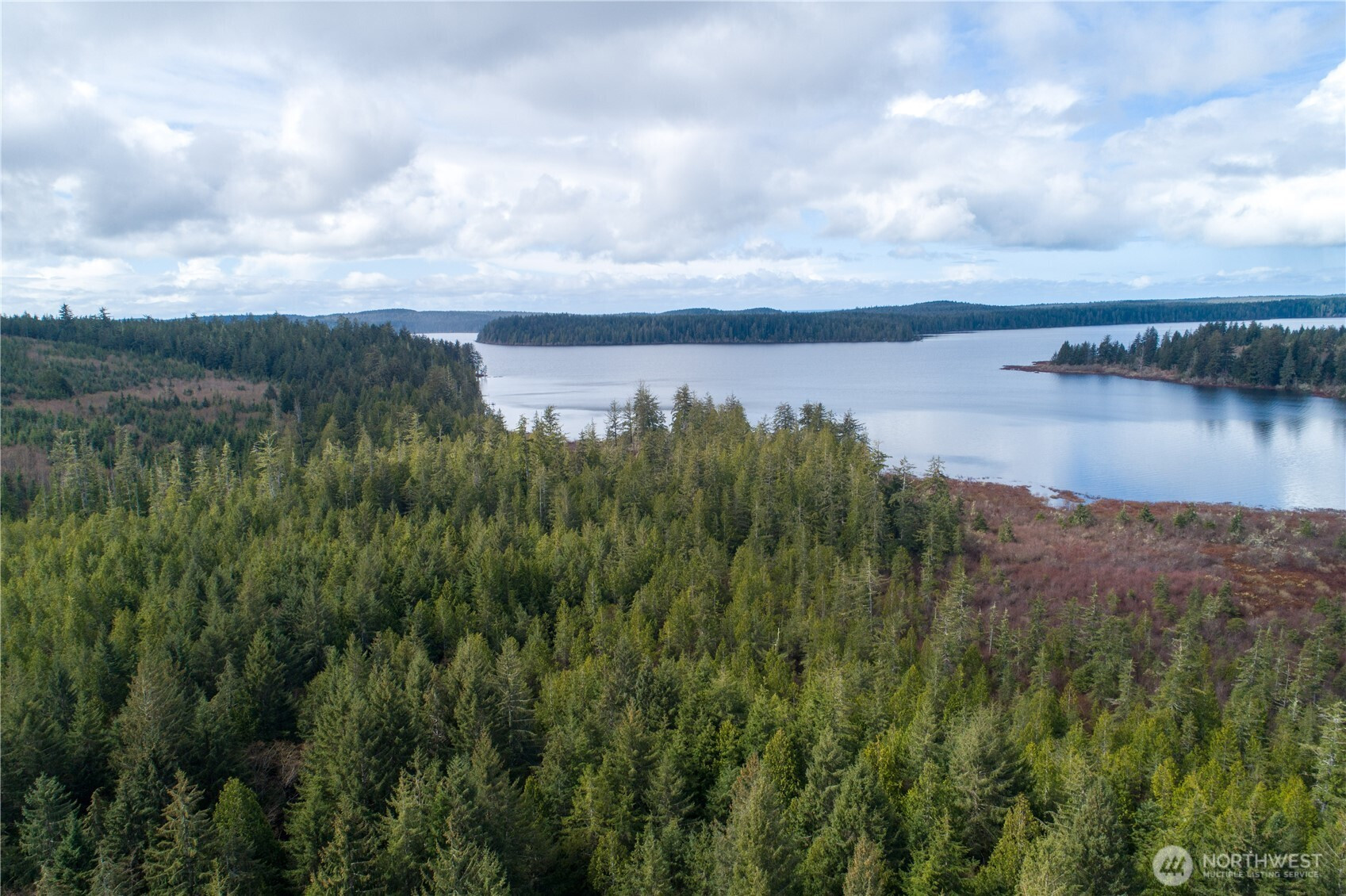 0 Swamp Road, Sekiu, WA 98381