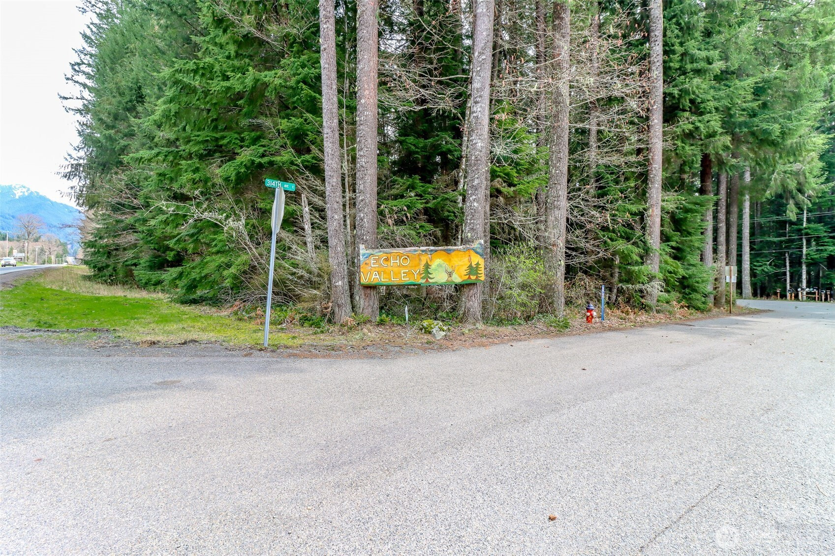 55315 315th Avenue E, Ashford, WA 98304