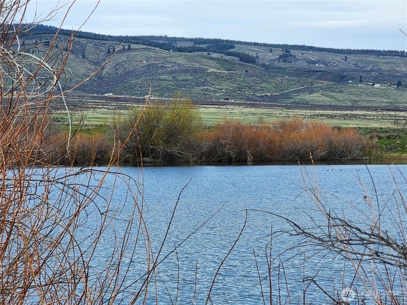 15100 Reecer Creek Road, Ellensburg, WA 98926