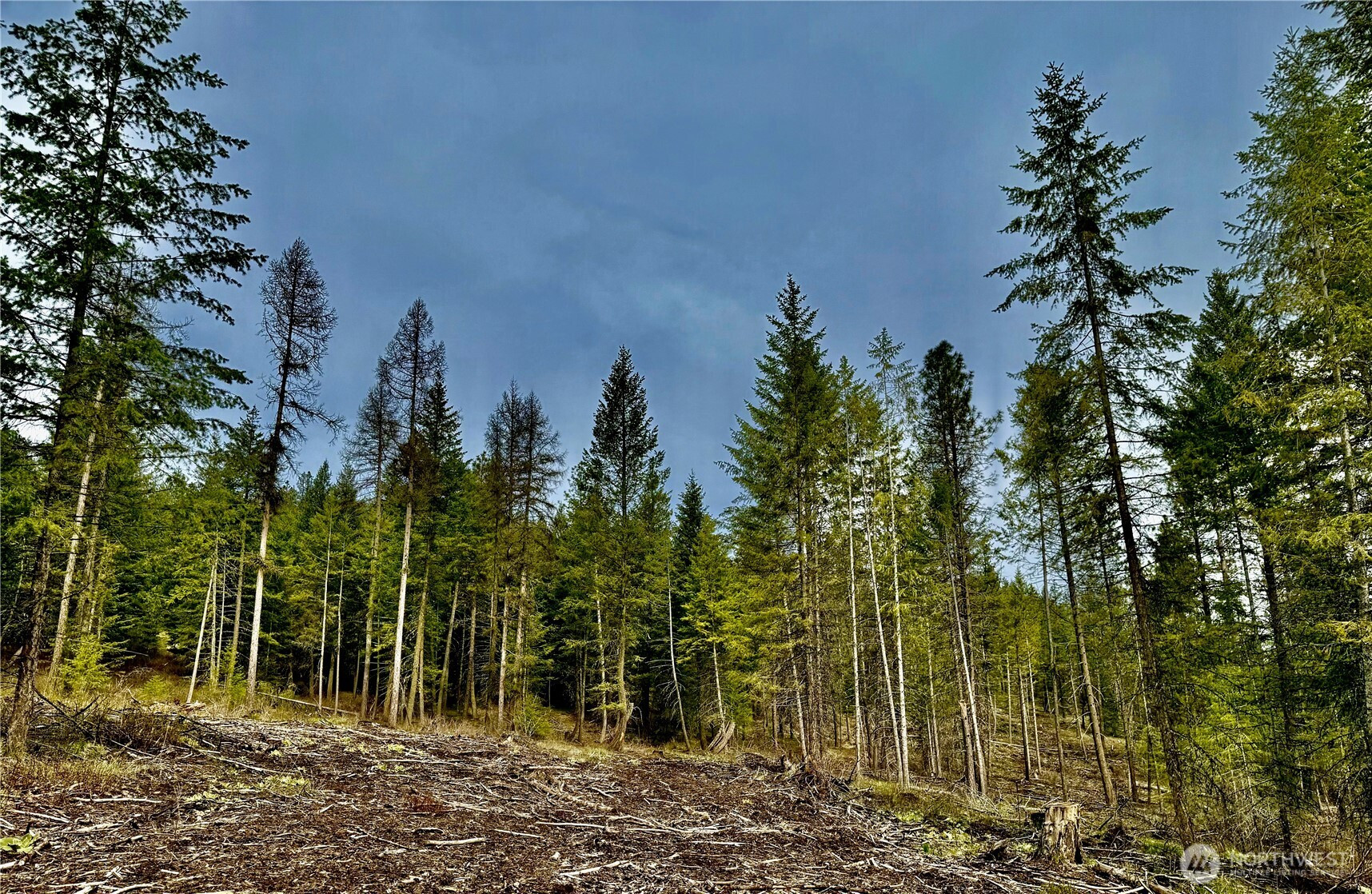 6200 Brisbois Road, Fruitland, WA 99129