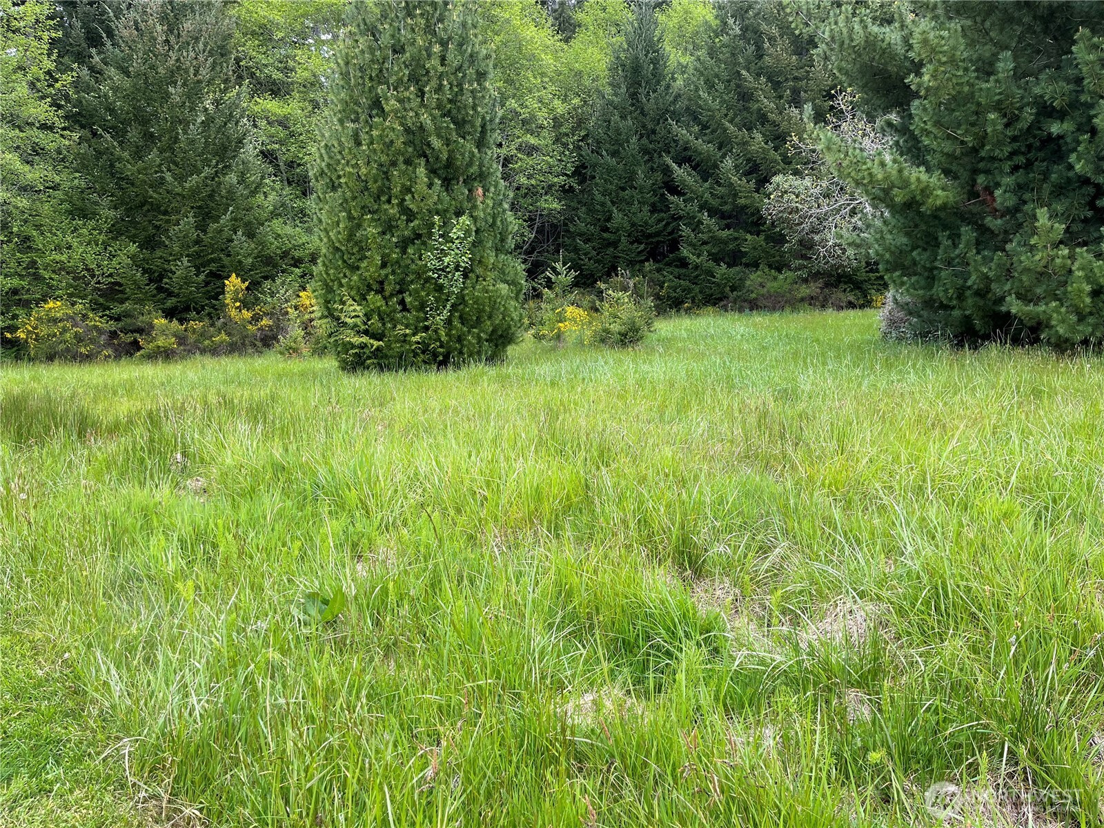 0 XXXX SE 224th Street, Kent, WA 98042