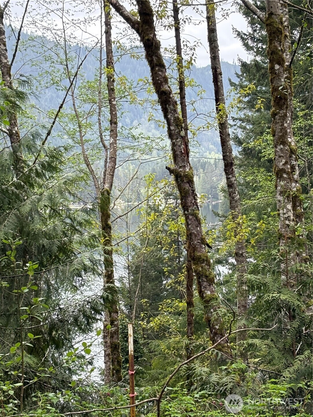 0 XXXXX W Shore Drive, Mount Vernon, WA 98274