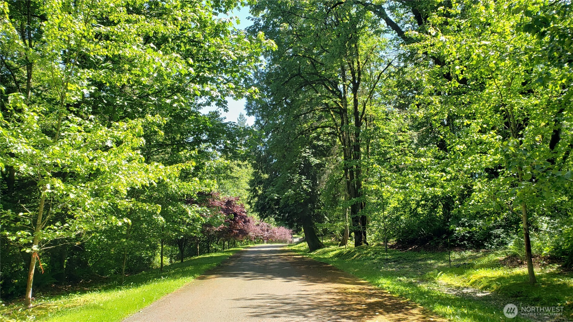 2114 X 212th (Lot #2) Avenue SE, Maple Valley, WA 98038