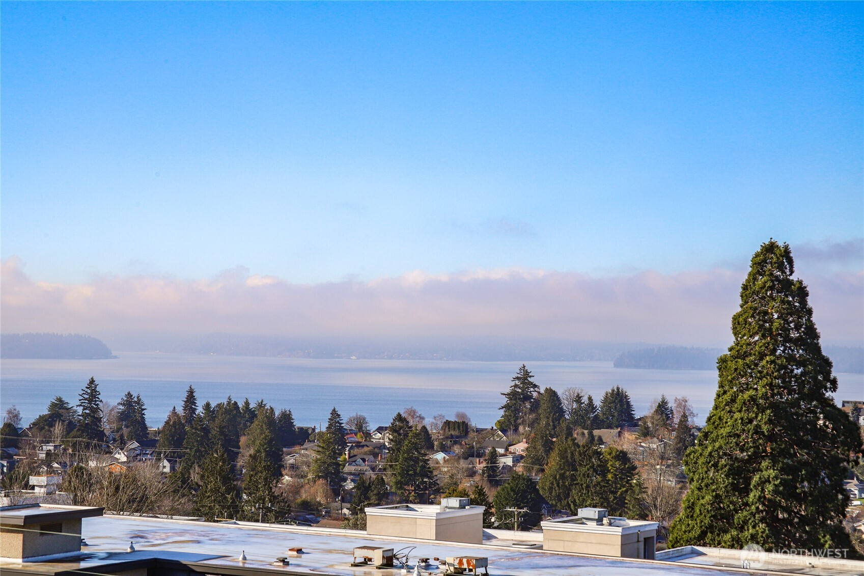 4515 44th Avenue SW, Seattle, WA 98116