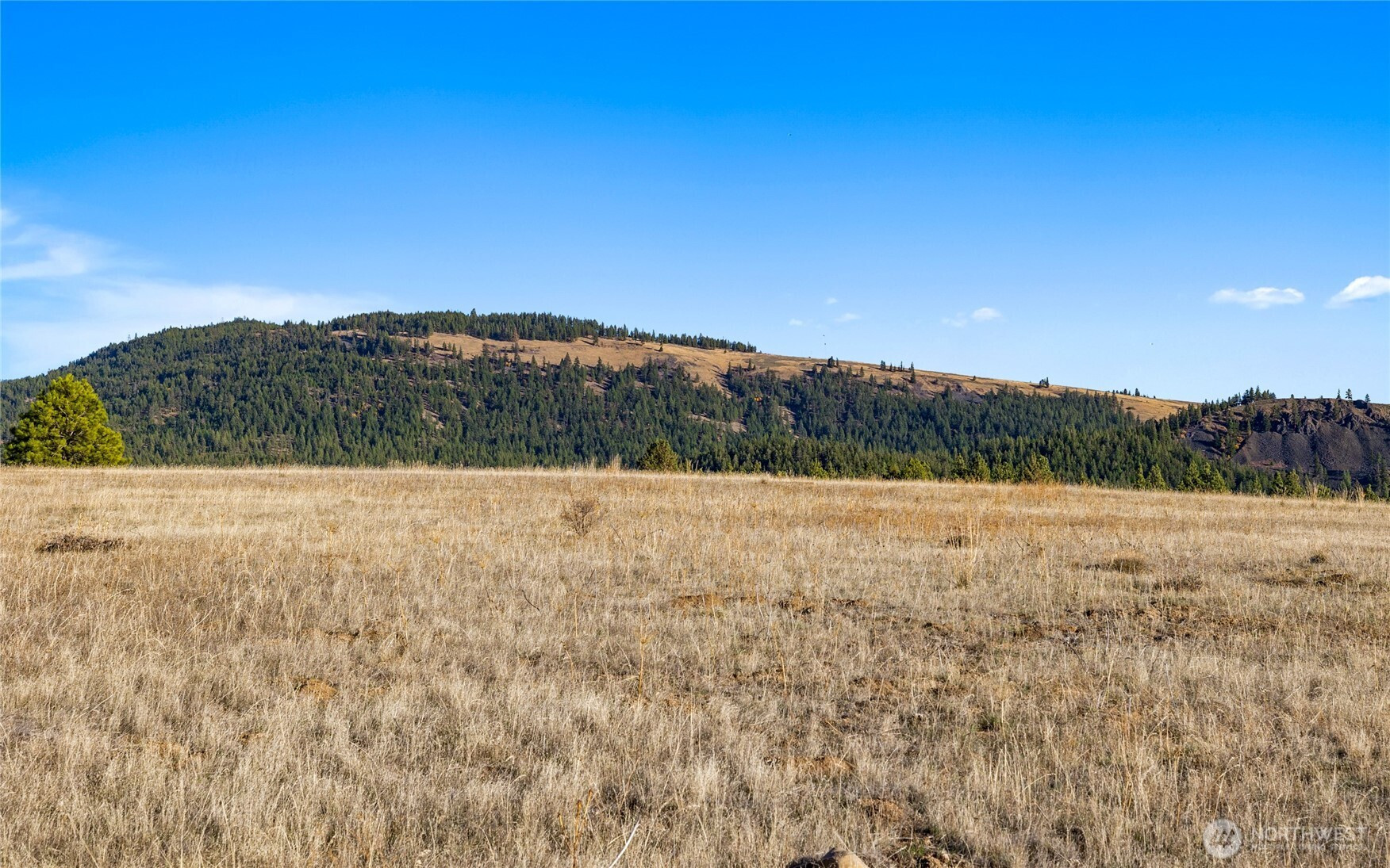 1278 Mountain Creek Drive, Cle Elum, WA 98922