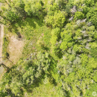 120 E Cascara Cove Lane, Shelton, WA 98584