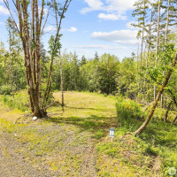 120 E Cascara Cove Lane, Shelton, WA 98584