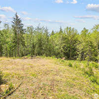 120 E Cascara Cove Lane, Shelton, WA 98584