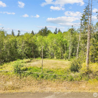 120 E Cascara Cove Lane, Shelton, WA 98584