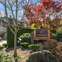 18609 SE Newport Way, Issaquah, WA 98027