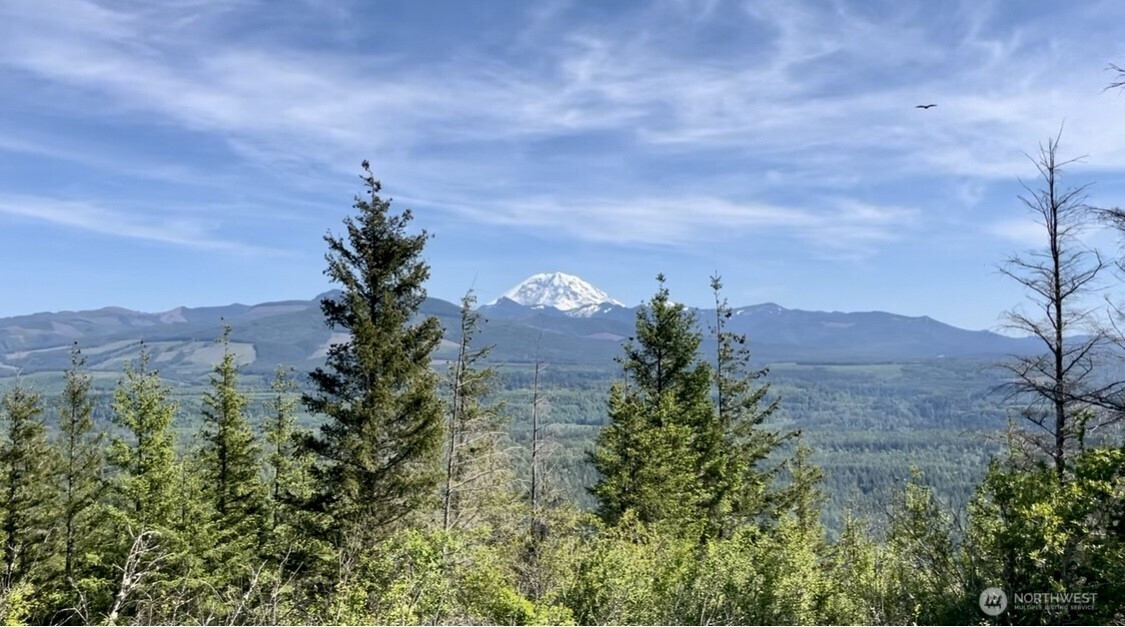 464 XX 303rd Avenue SE, Enumclaw, WA 98022