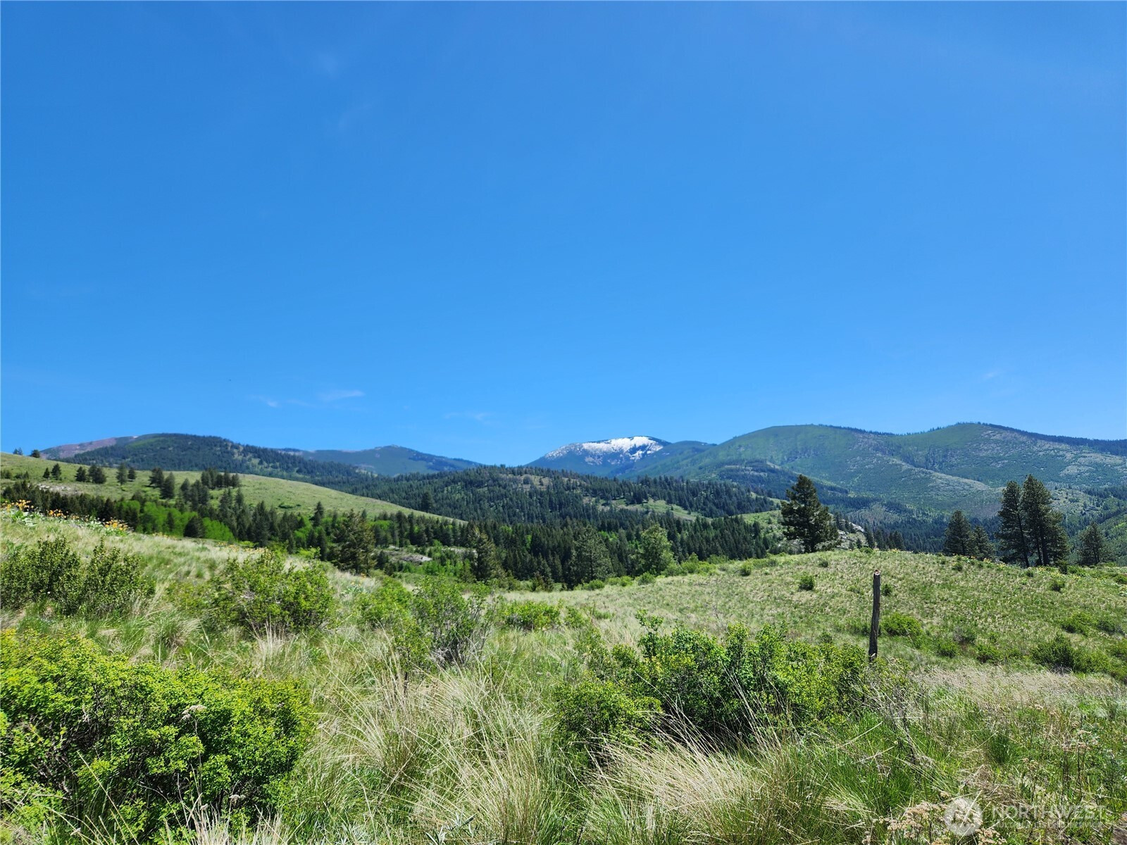 12 Dignity Ranch Road, Malo, WA 99150