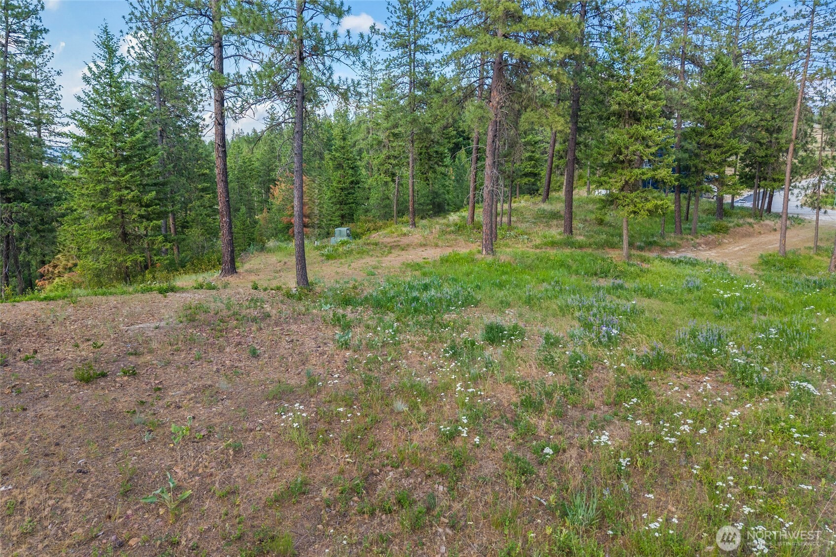 694 Palmer Lane, Chewelah, WA 99109