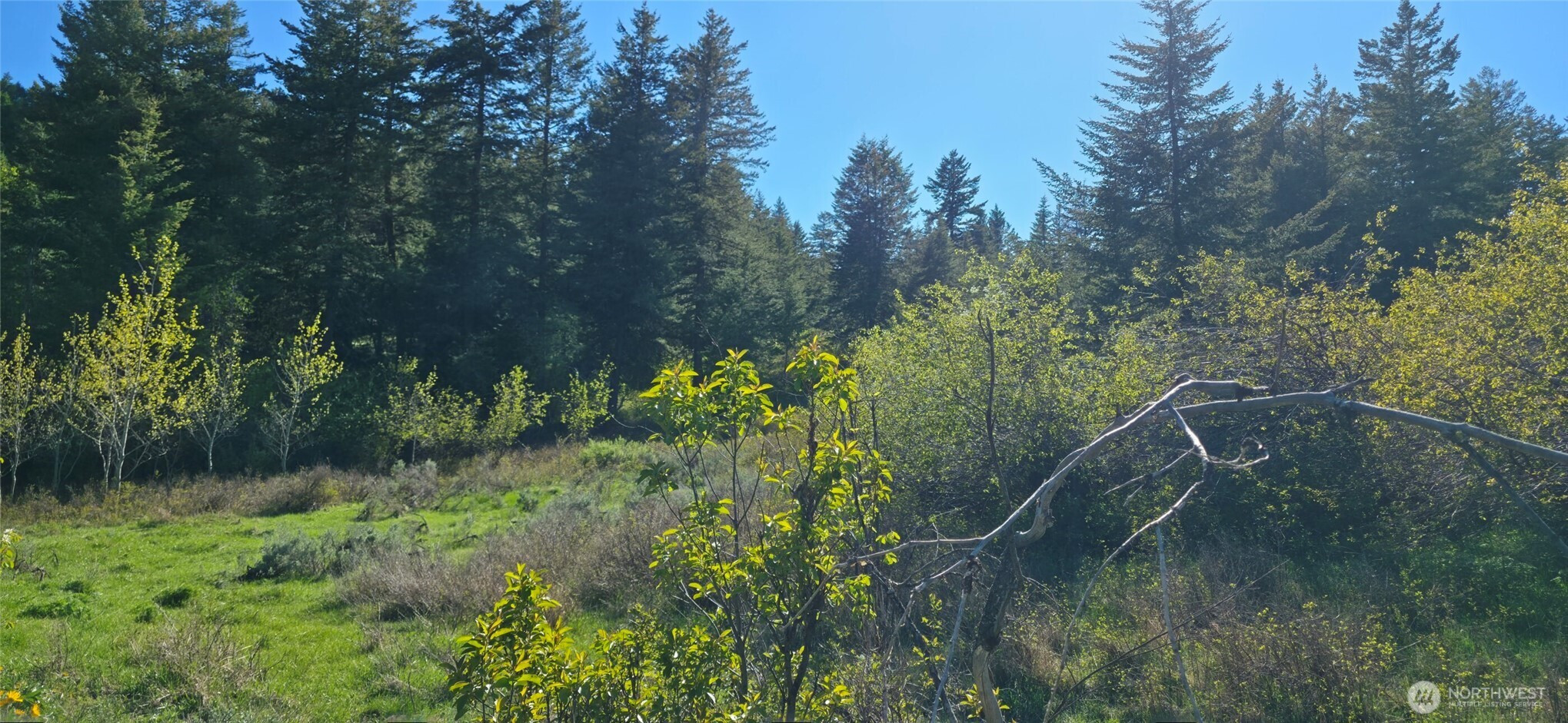 112 Ellemeham Mtn, Oroville, WA 98844