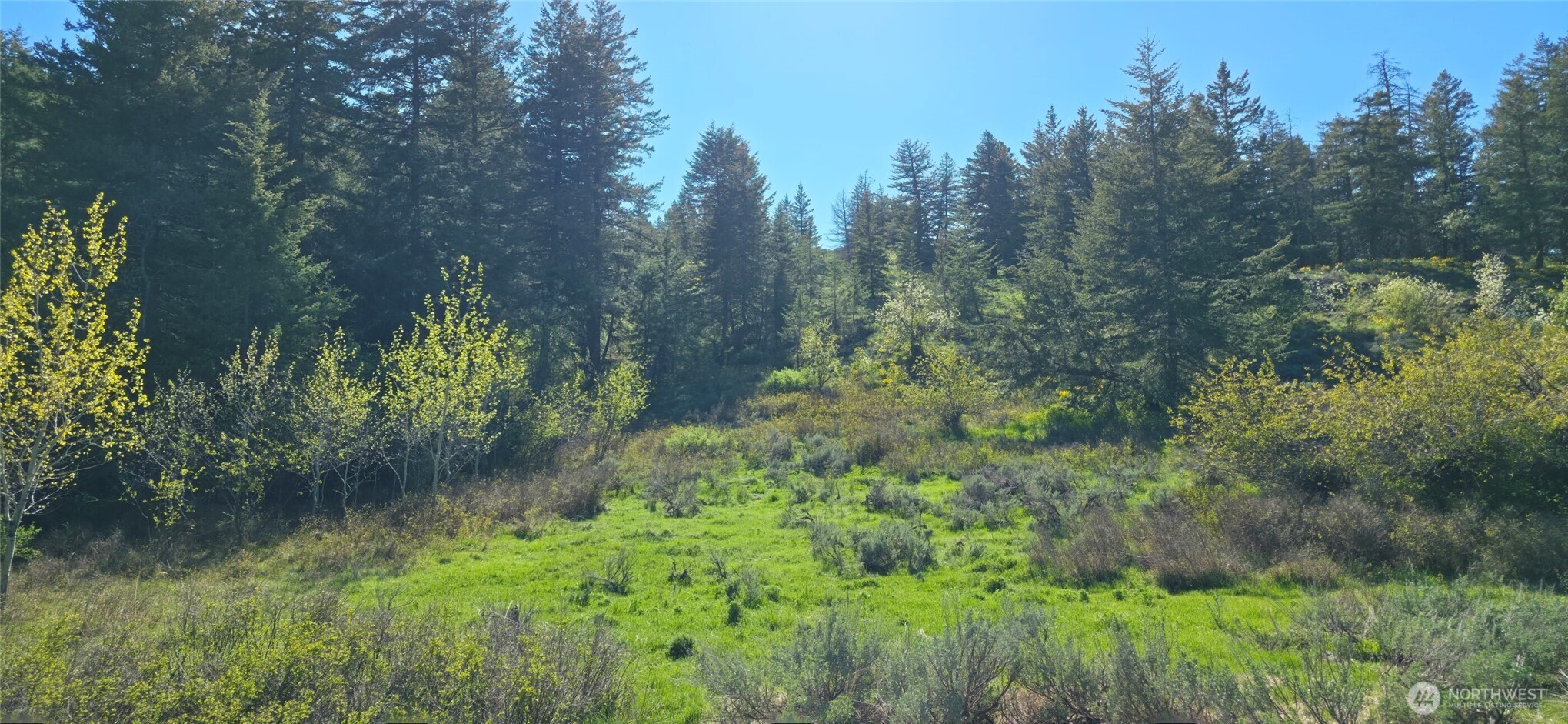 113 Ellemeham Mtn, Oroville, WA 98844
