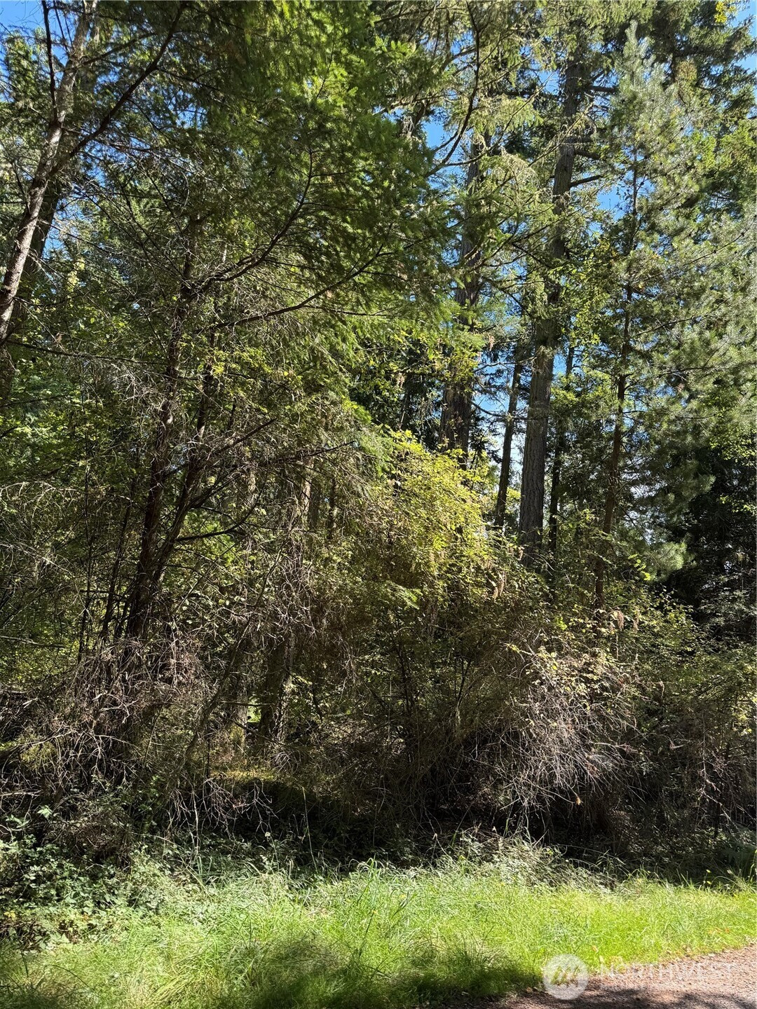 0 Thatcher Pass Road, Decatur Island, WA 98221