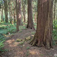 35275 Hood Canal Drive NE, Kingston, WA 98346