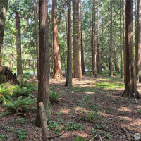 35275 Hood Canal Drive NE, Kingston, WA 98346