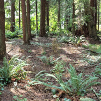 35275 Hood Canal Drive NE, Kingston, WA 98346